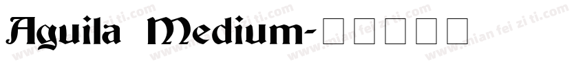 Aguila Medium字体转换